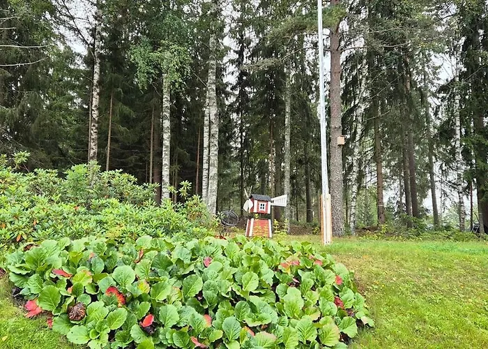 House With2 Bedroom, Bath, Sauna, And Big Yard