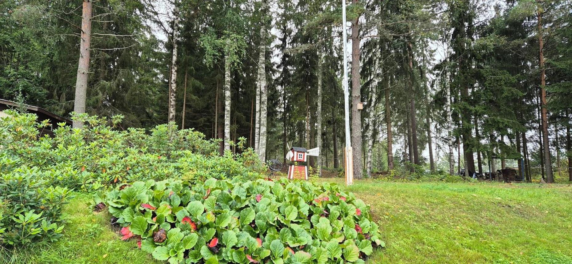 House With2 Bedroom, Bath, Sauna, And Big Yard